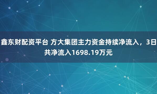 鑫东财配资平台 方大集团主力资金持续净流入，3日共净流入1698.19万元