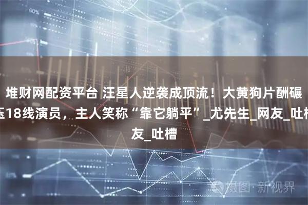 堆财网配资平台 汪星人逆袭成顶流!大黄狗片酬碾压18线演员,主人笑称“靠它躺平”_尤先生_网友_吐槽