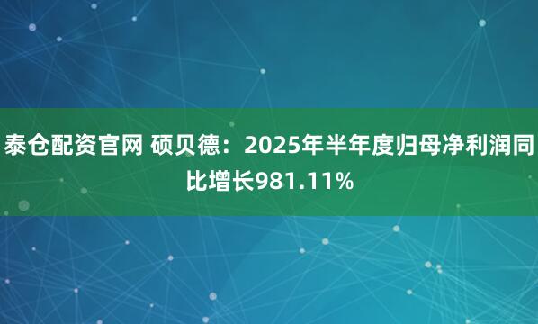 泰仓配资官网 硕贝德:2025年半年度归母净利润同比增长981.11%