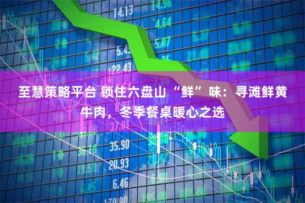 至慧策略平台 锁住六盘山 “鲜” 味:寻滩鲜黄牛肉,冬季餐桌暖心之选