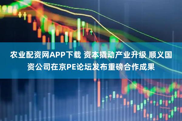 农业配资网APP下载 资本撬动产业升级 顺义国资公司在京PE论坛发布重磅合作成果