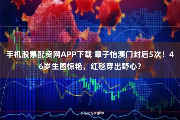 手机股票配资网APP下载 章子怡澳门封后5次！46岁生图惊艳，红毯穿出野心？