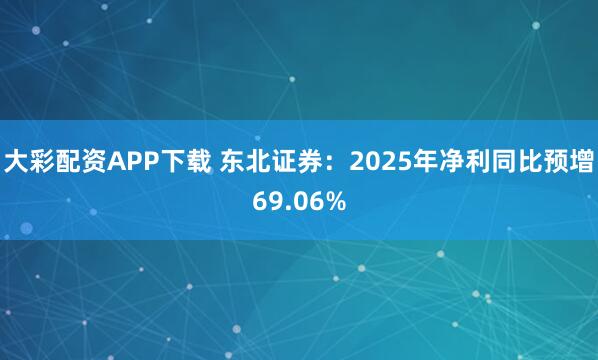 大彩配资APP下载 东北证券：2025年净利同比预增69.06%