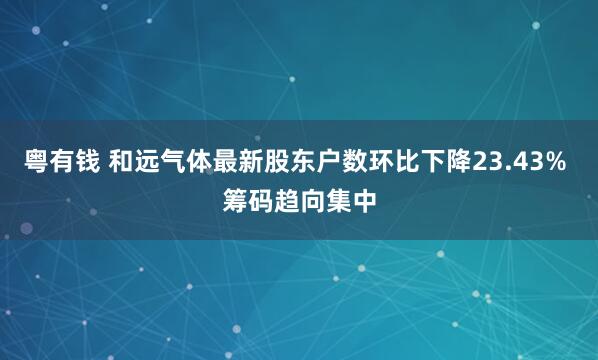 粤有钱 和远气体最新股东户数环比下降23.43% 筹码趋向集中