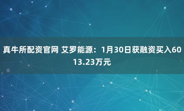 真牛所配资官网 艾罗能源：1月30日获融资买入6013.23万元